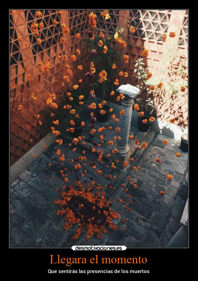 carteles sentimientos presencias momentos muertos halloween diademuertos desmohalloween2021 desmotivaciones