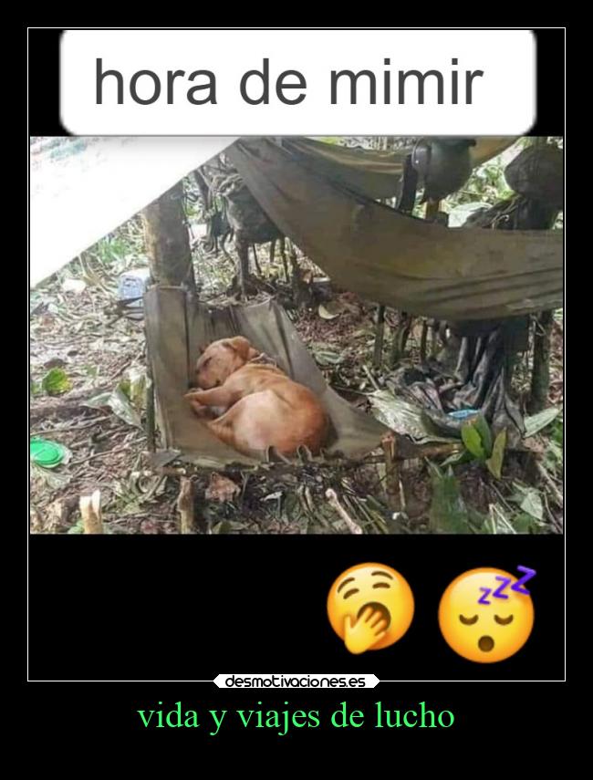 vida y viajes de lucho -