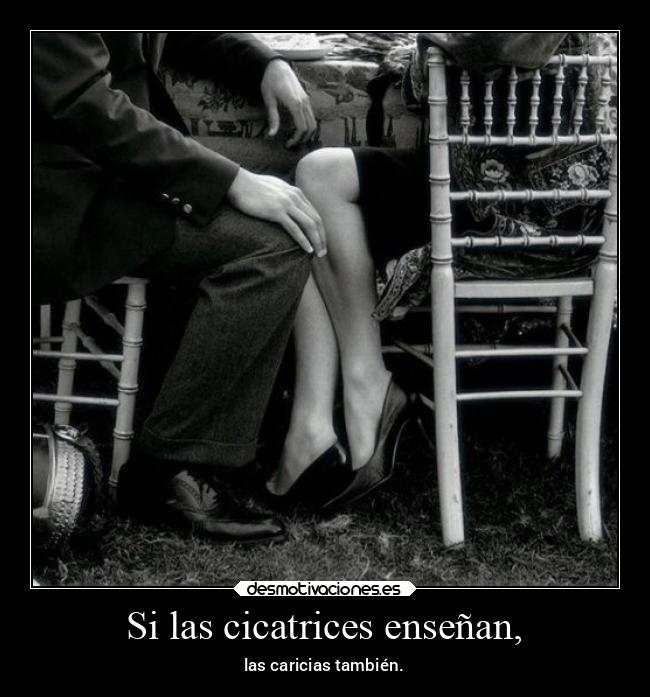 Si las cicatrices enseñan, - las caricias también.
