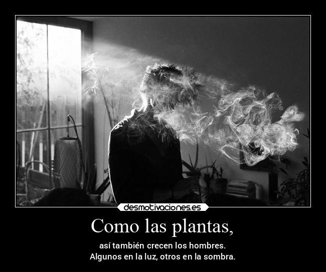 Como las plantas, - así también crecen los hombres.
Algunos en la luz, otros en la sombra.