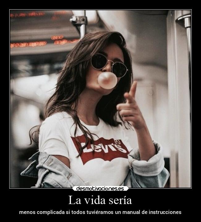 La vida sería - menos complicada si todos tuviéramos un manual de instrucciones