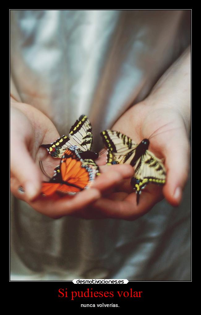 Si pudieses volar -