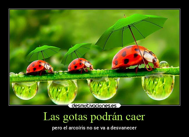 Las gotas podrán caer -