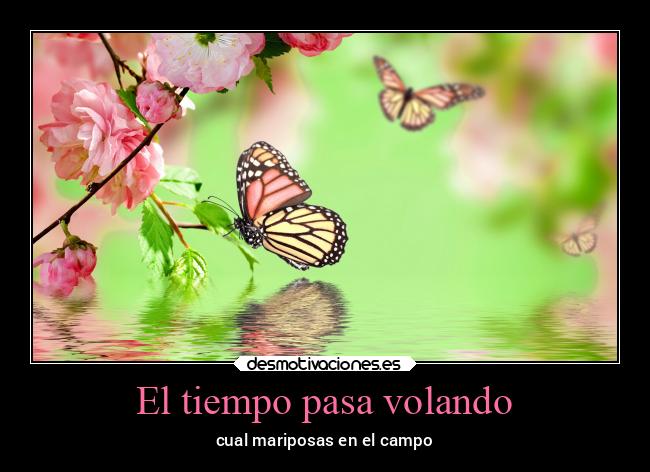 El tiempo pasa volando -