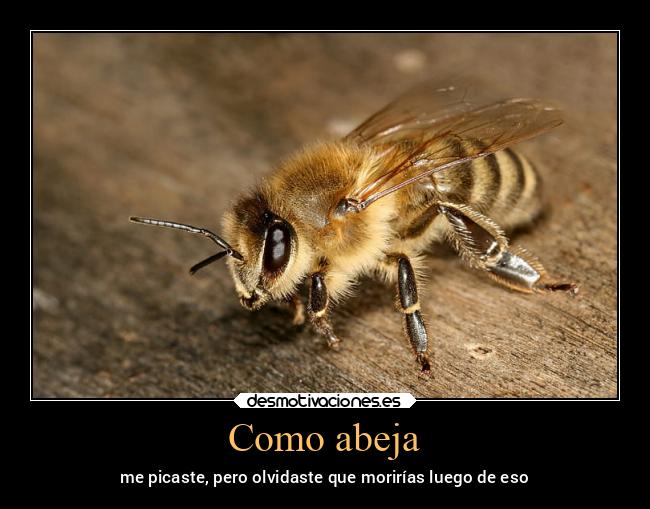 Como abeja -
