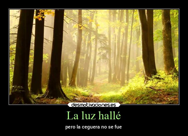 La luz hallé -