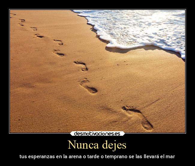 Nunca dejes -