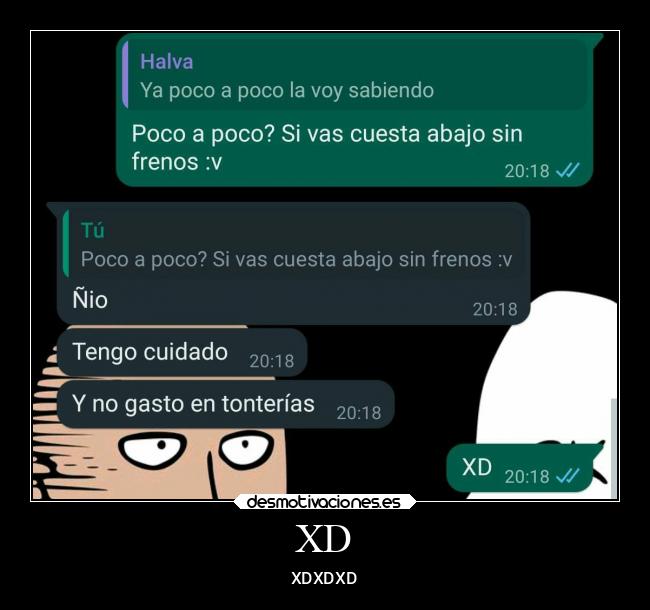 XD - XDXDXD