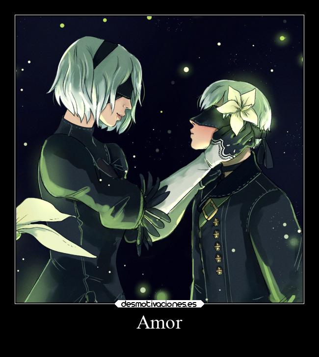 Amor -