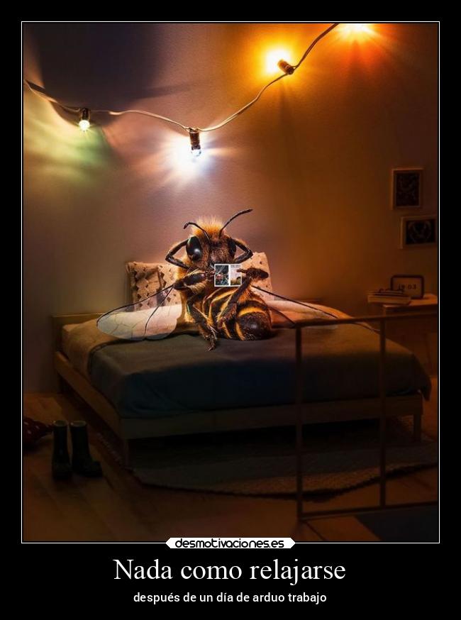 Nada como relajarse - después de un día de arduo trabajo
