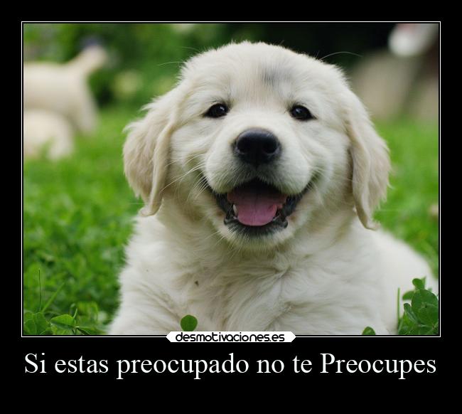 carteles animales desmotivaciones