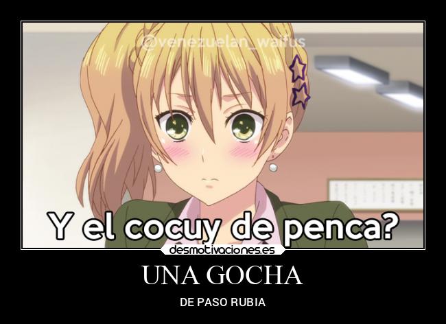 UNA GOCHA - 