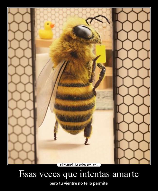 Esas veces que intentas amarte - pero tu vientre no te lo permite