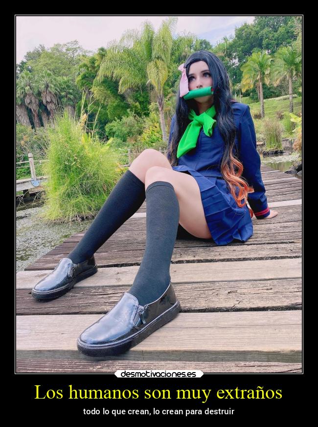 Los humanos son muy extraños - 