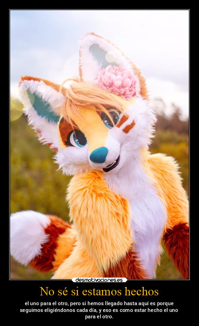 No sé si estamos hechos - el uno para el otro, pero si hemos llegado hasta aquí es porque
seguimos eligiéndonos cada día, y eso es como estar hecho el uno
para el otro.