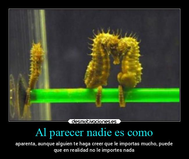 Al parecer nadie es como - 