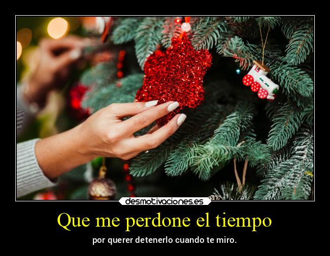 Que me perdone el tiempo - por querer detenerlo cuando te miro.