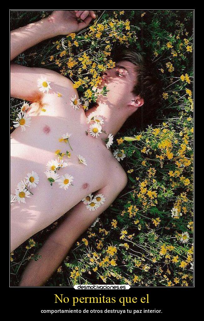 No permitas que el - 