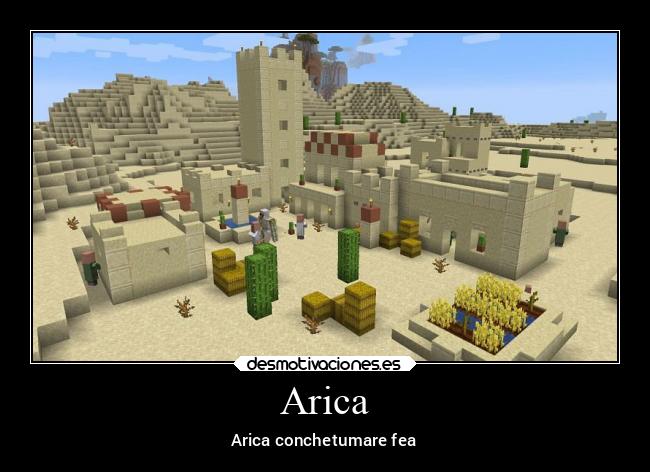 Arica - Arica conchetumare fea