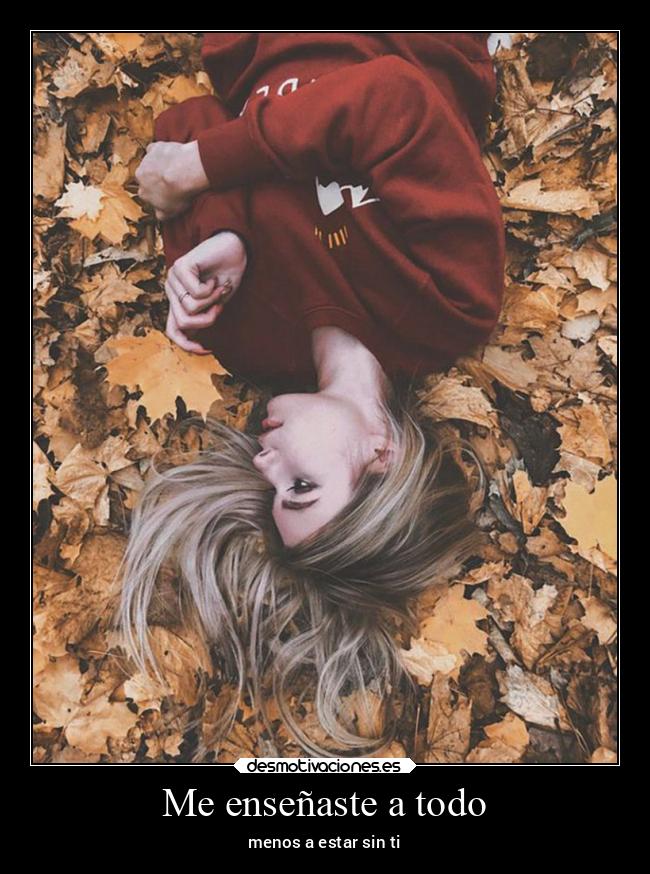 Me enseñaste a todo - menos a estar sin ti