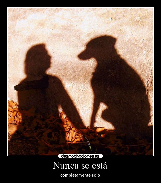 Nunca se está - completamente solo