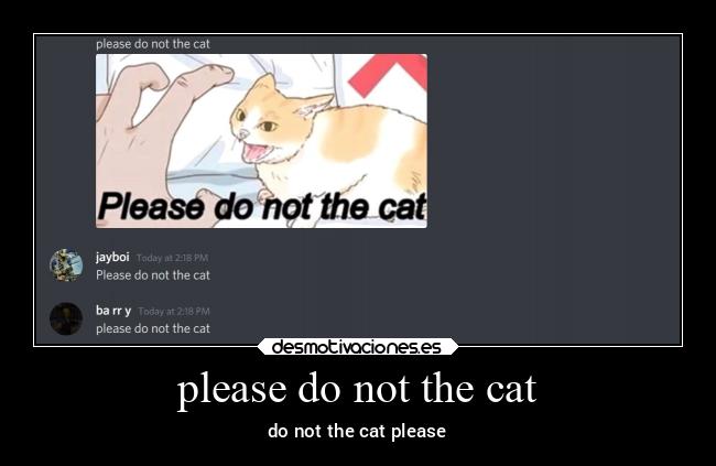 please do not the cat - do not the cat please