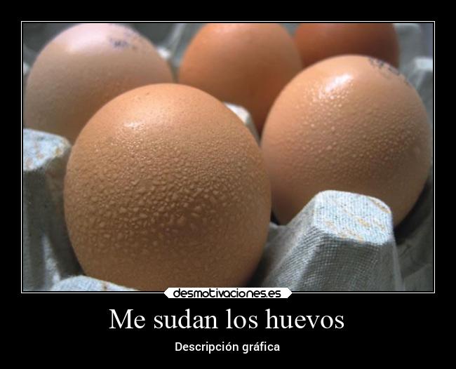 carteles memes sudan los huevos desmotivaciones