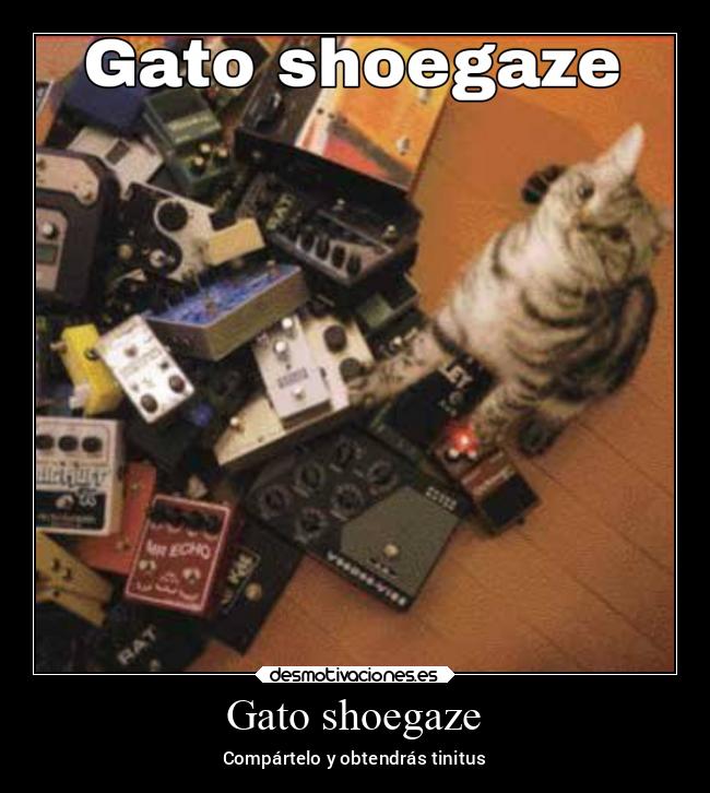 Gato shoegaze - 