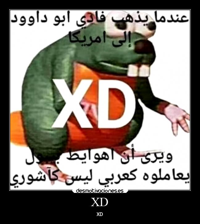 XD - XD