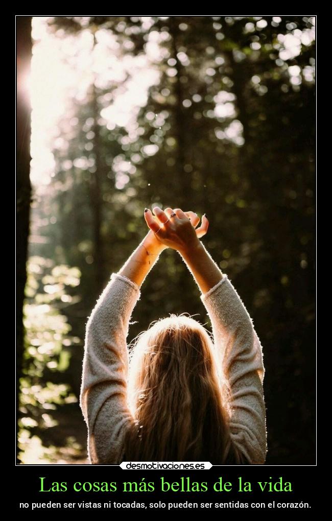 Las cosas más bellas de la vida - 