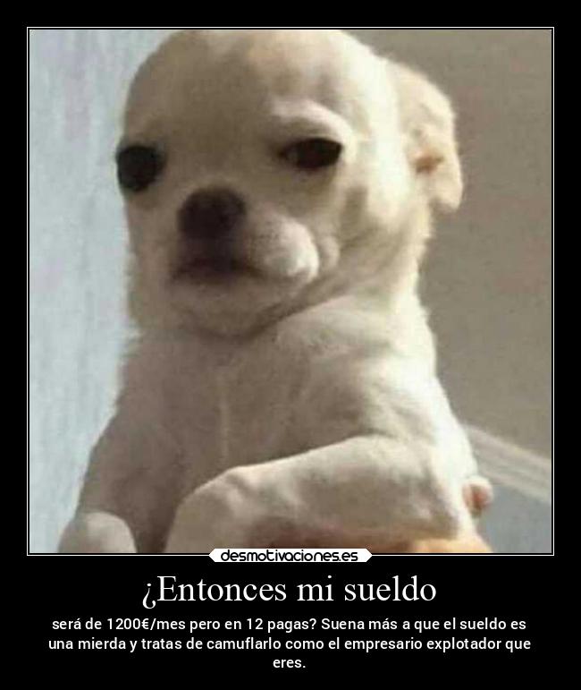 ¿Entonces mi sueldo - será de 1200€/mes pero en 12 pagas? Suena más a que el sueldo es
una mierda y tratas de camuflarlo como el empresario explotador que
eres.