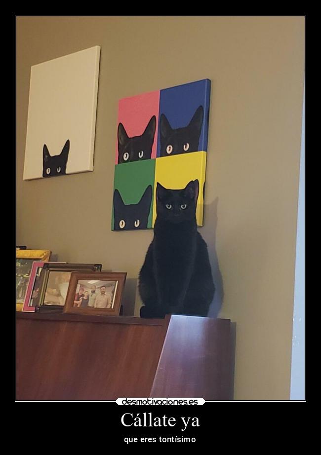 Cállate ya - que eres tontísimo