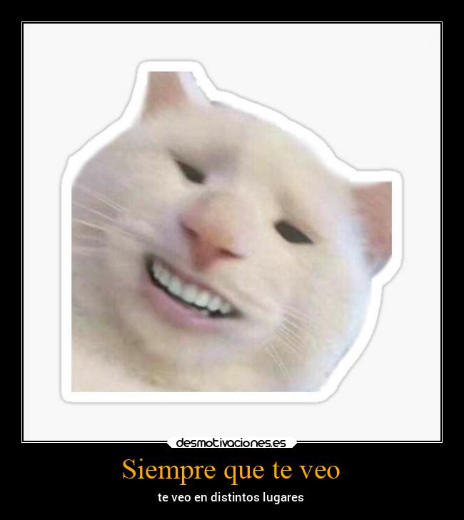 carteles alma arte memes humor esperanza chiste desmotivaciones