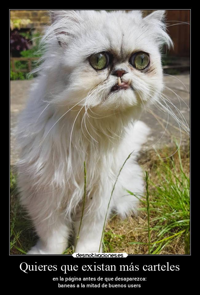 Quieres que existan más carteles - en la página antes de que desaparezca:
baneas a la mitad de buenos users