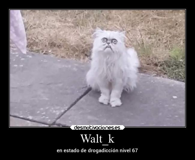 Walt_k - en estado de drogadicción nivel 67
