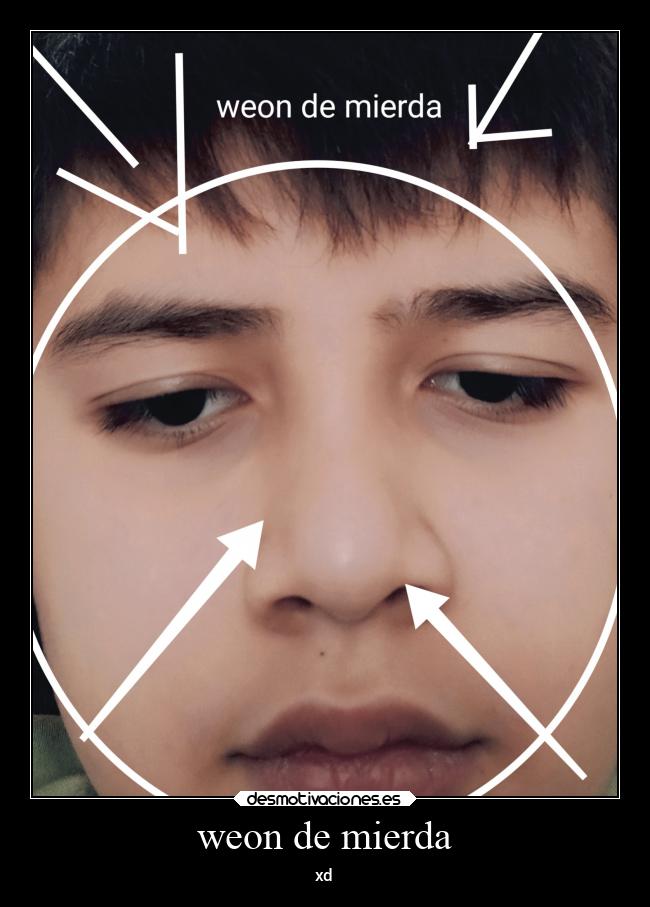 carteles amistad mierda desmotivaciones