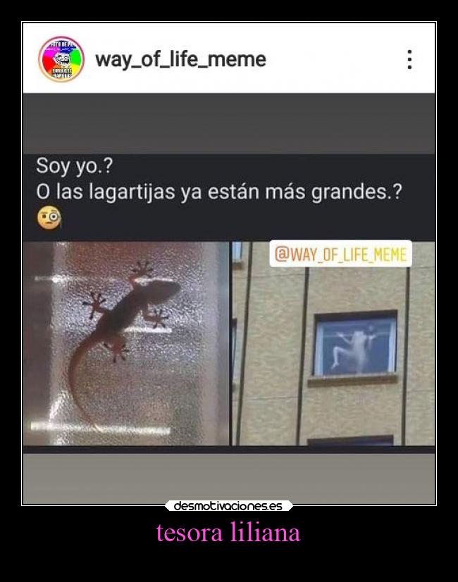 tesora liliana -