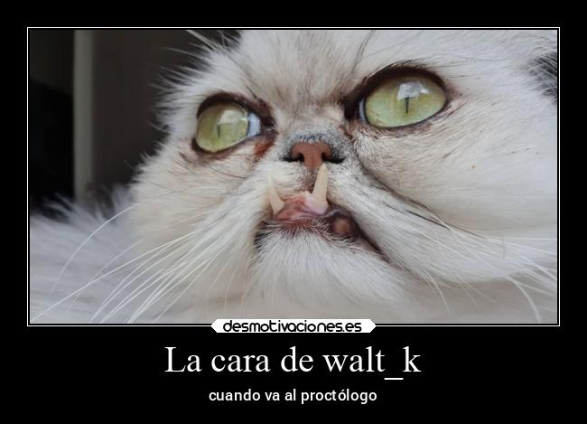 La cara de walt_k - cuando va al proctólogo