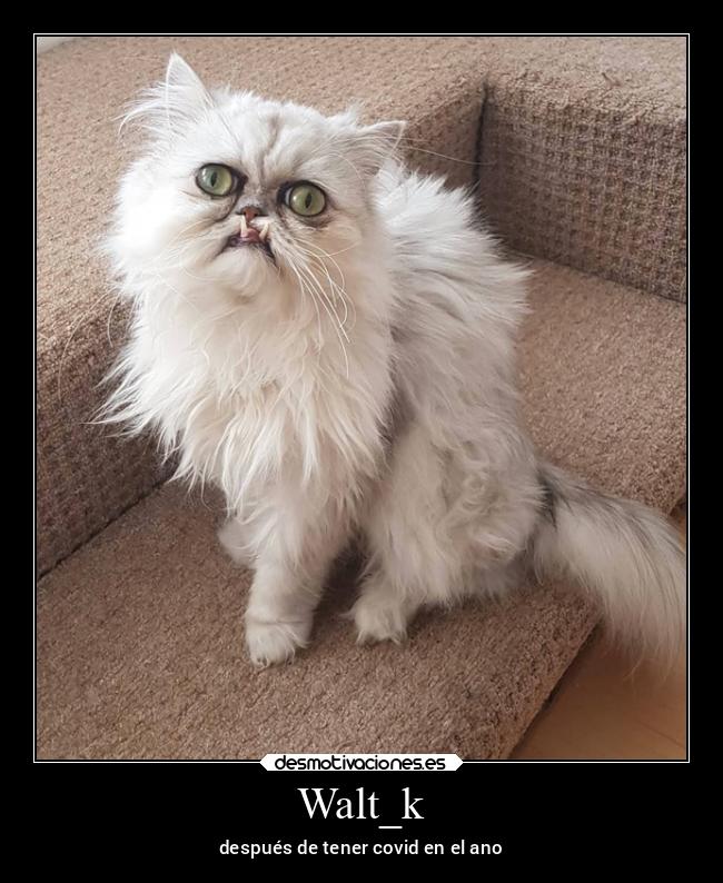 Walt_k - después de tener covid en el ano