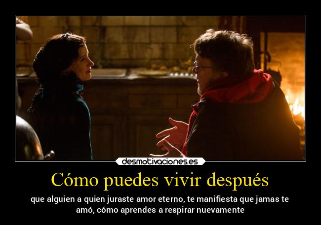 Cómo puedes vivir después - 