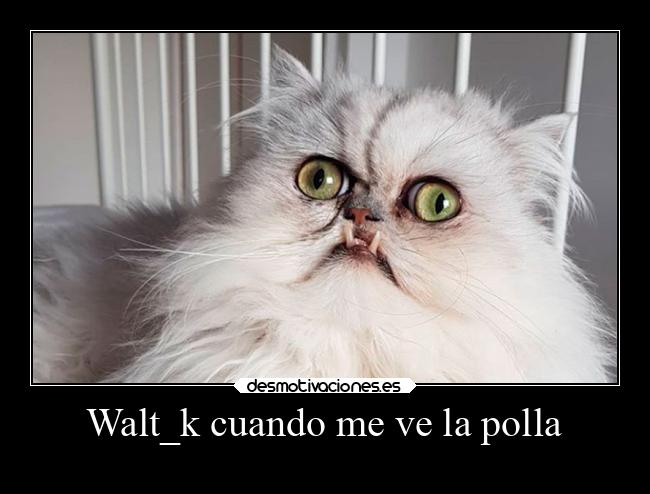 Walt_k cuando me ve la polla - 