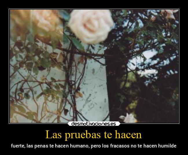 Las pruebas te hacen - 