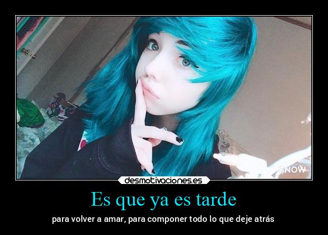 carteles celos bogota besos animales alicea krusquether desmotivaciones