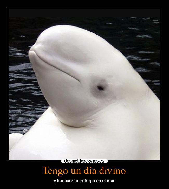 carteles comida porundia xdddddddddddddddddddddddddddddddddddddddddddddddd desmotivaciones