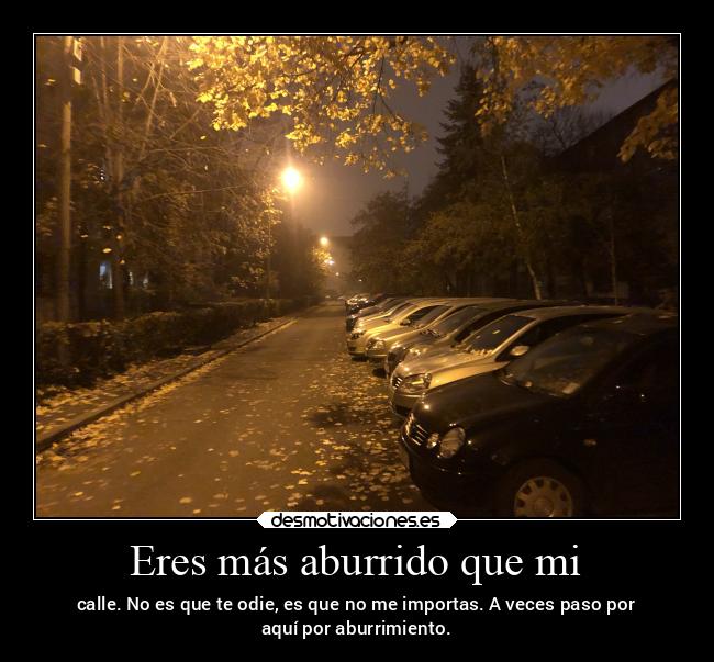 Eres más aburrido que mi - calle. No es que te odie, es que no me importas. A veces paso por
aquí por aburrimiento.