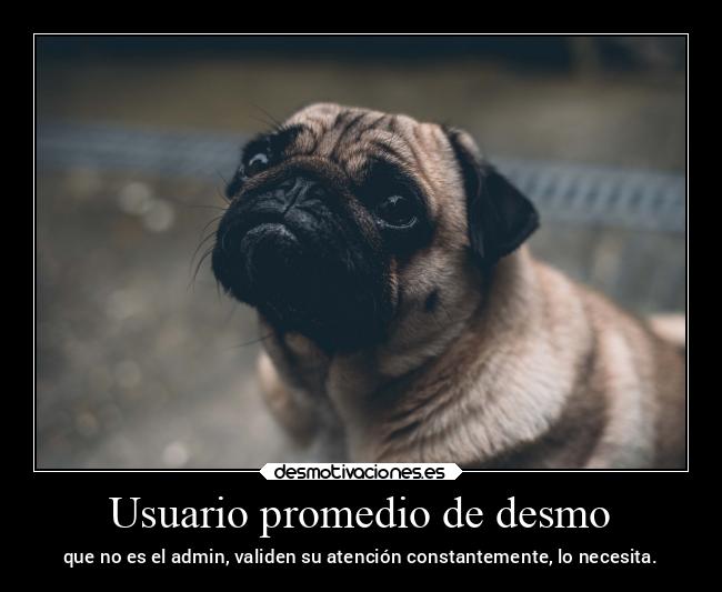 Usuario promedio de desmo - que no es el admin, validen su atención constantemente, lo necesita.