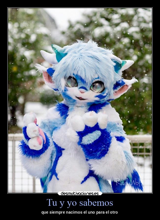 Tu y yo sabemos - que siempre nacimos el uno para el otro