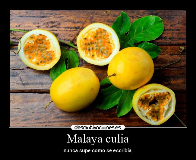 carteles espana desmotivaciones