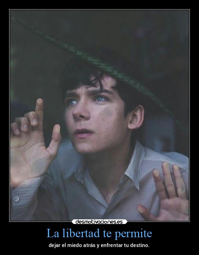 carteles libertad desmotivaciones destino libertad iamshameless desmotivaciones