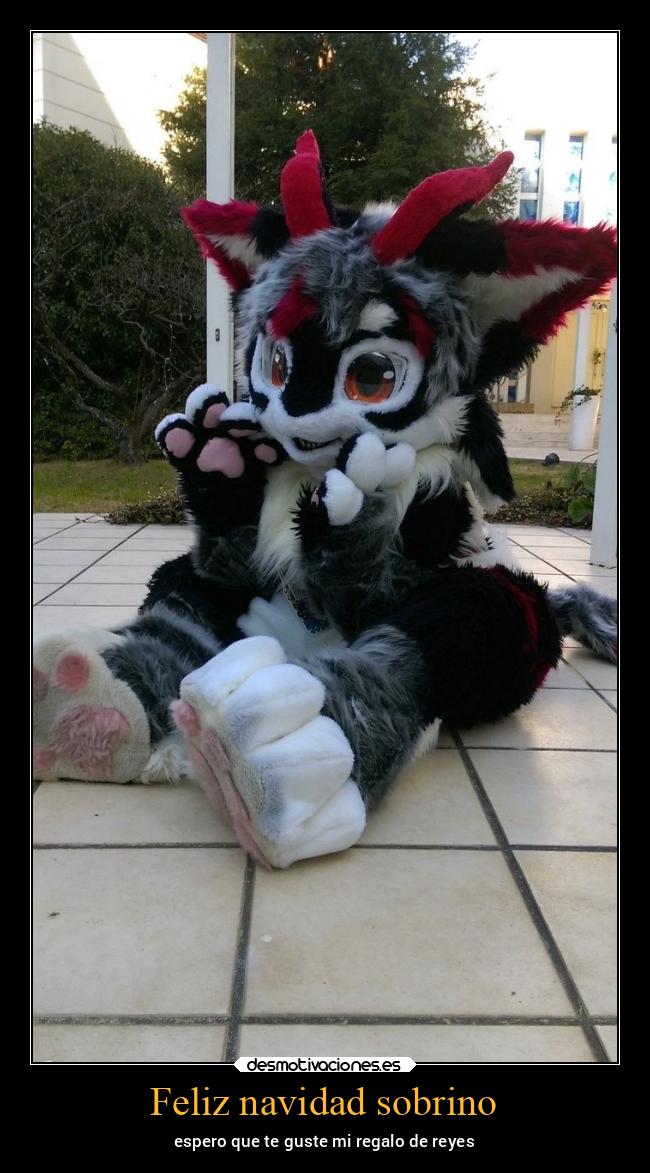 Feliz navidad sobrino - espero que te guste mi regalo de reyes